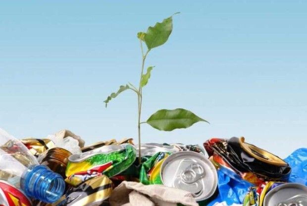 На території трьох громад на Волині ліквідували стихійні сміттєзвалища