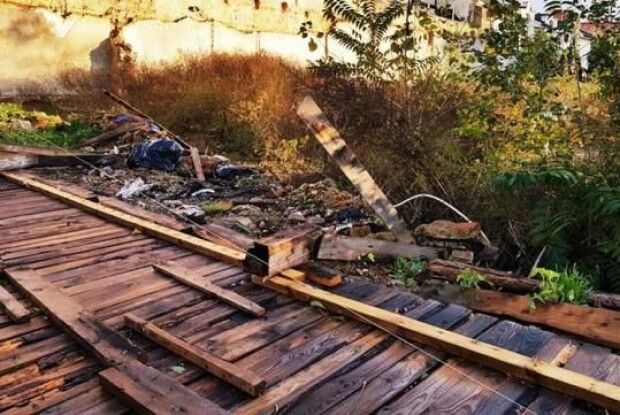 На Рівненщині через собаку сталася ДТП