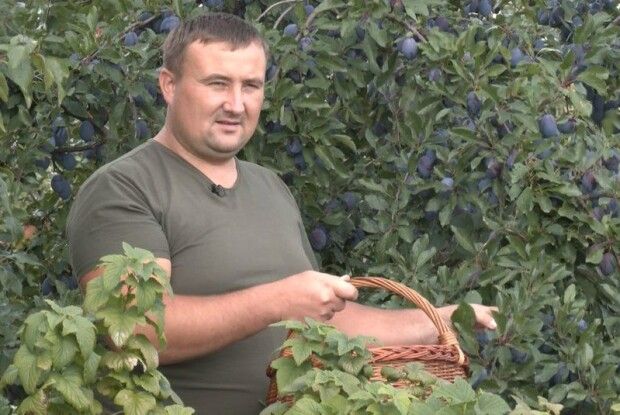 На Горохівщині в унікальному саду сім’я вирощує сотні сортів фруктів і горіхів (Відео)