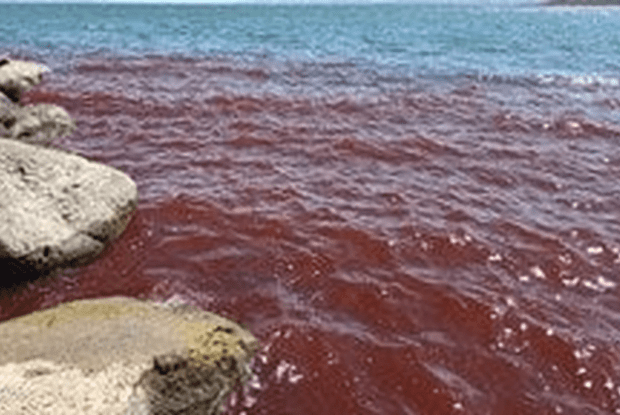 Біблійне Галілейське море стало кривавим