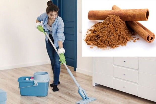 Щоб підлога засяяла чистотою, додайте у воду... корицю
