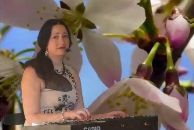 Скрипалька з Любешова «одягнула» вірші у музику (Відео)
