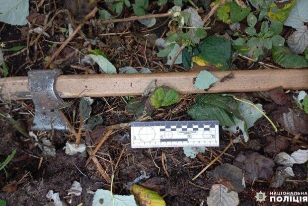 Вісім років за 11 ударів сокирою – вирок сину-вбивці на Рівненщині 