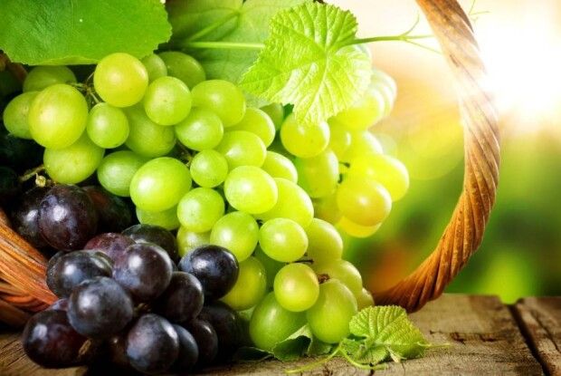 Виноград здивує вас урожаєм, якщо ви посадите біля нього три рослини
