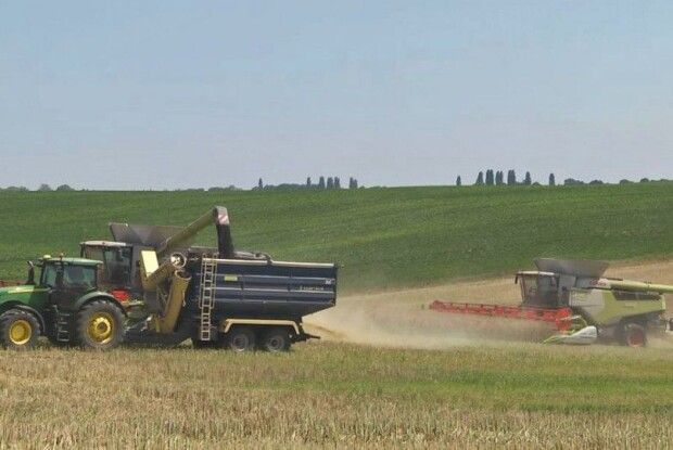 Жнива завершуються: Волинь лідирує у зборі озимого ріпаку в Україні