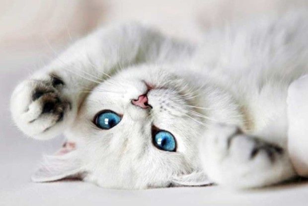 «Хрест» на коханні