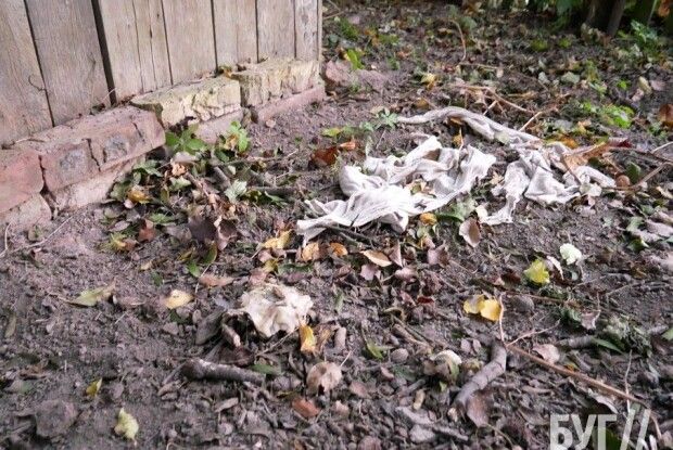 На Волині невідомі закатували і вбили собаку на кладовищі (Фото 18+)