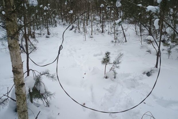 На Волині охорона нацпарку «почистила» озера та ліси від браконьєрських пасток