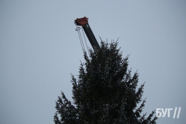 У місті на Волині встановили новорічну ялинку (Фото) 