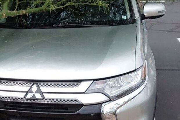 На машину українського телеведучого впало дерево