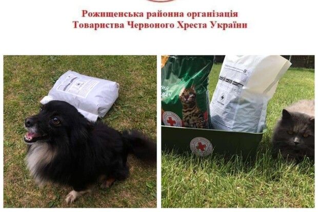 Допомога чотирилапим: на Волині роздають корм для домашніх улюбленців ВПО