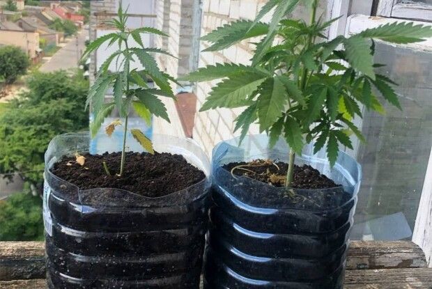 Лучанка заявила, що з сусідньої квартири смердить, бо там вживають наркотики (Фото) 