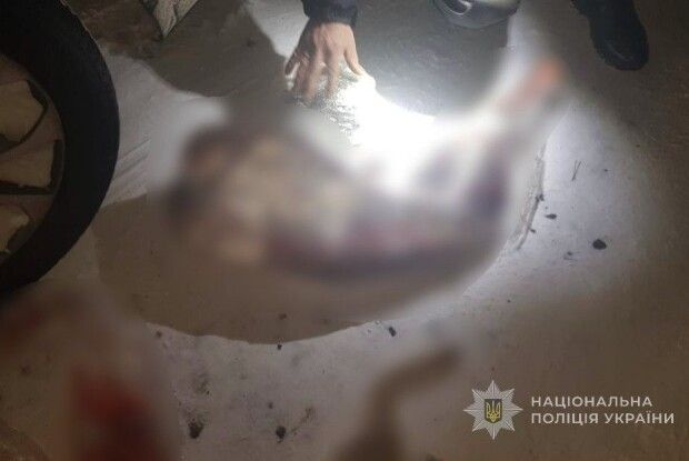 На Волині браконьєр пропонував 200 доларів поліції за вбитих зайця та козу