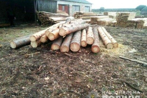 Ексдиректора лісгоспу судитимуть за привласнення деревини на понад 600 тис. гривень