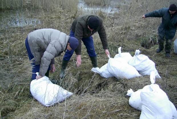 На Волині бобри «підгризли» дамбу