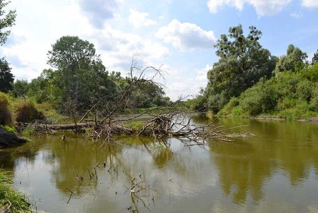 Західний Буг «з’їдає» українську землю