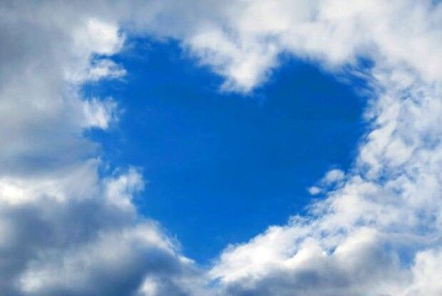 Де нема істини?