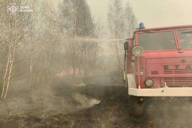 Волинські вогнеборці дали відсіч полум'ю біля Шацька