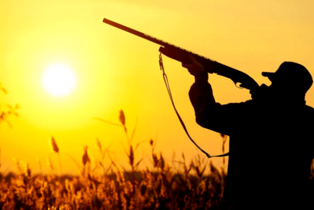 Екіпірування мисливця-початківця