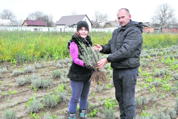 Японська сакура, інжир та мигдаль прижилися на Волині