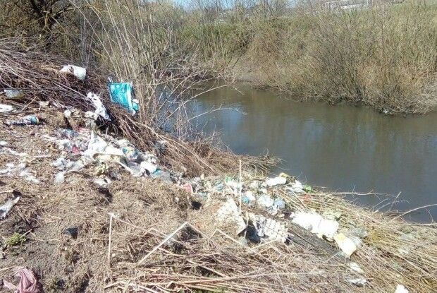 Під час екологічної толоки з Луцька вивезли 15 вантажівок зі сміттям