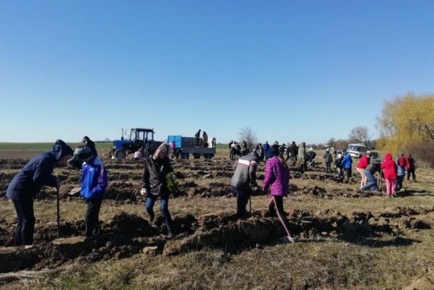 5 тисяч дерев у Промені