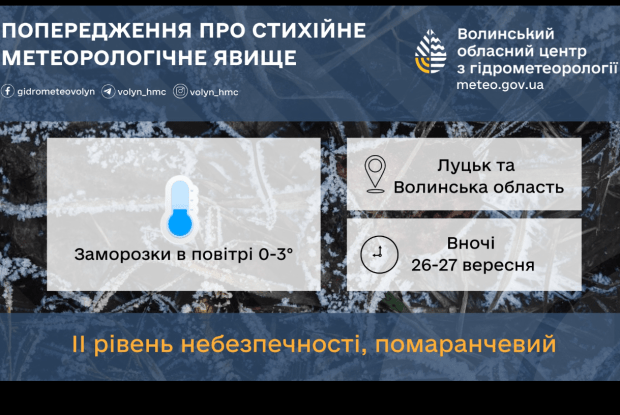 Шкода квітів: на Волині прогнозують нічна заморозки в повітрі до -3°С