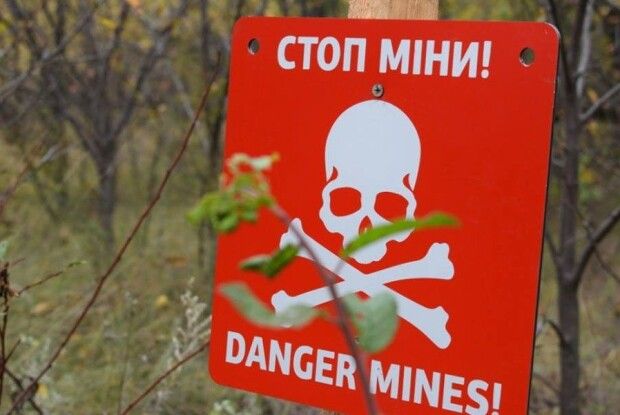 У Житомирській області на міні підірвався автомобіль 