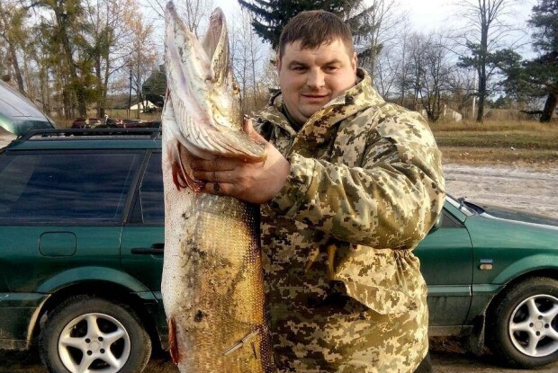 На гачок попалась щука більше 11 кілограмів і довжиною понад метр (Фото)