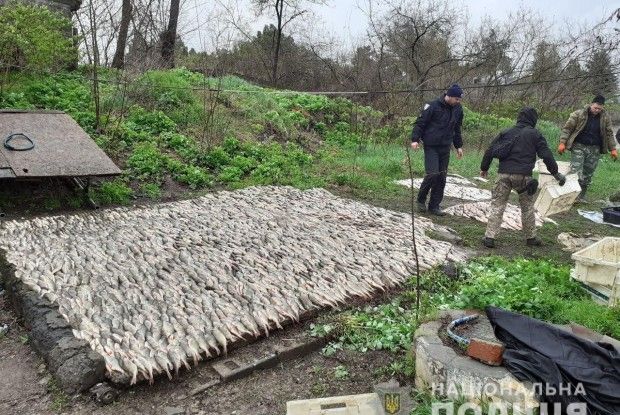 З 1 квітня поліцейські вилучили у браконьєрів 6 тонн риби