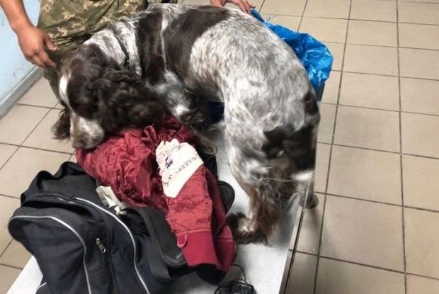 Собака винюхав 600 грамів наркотиків