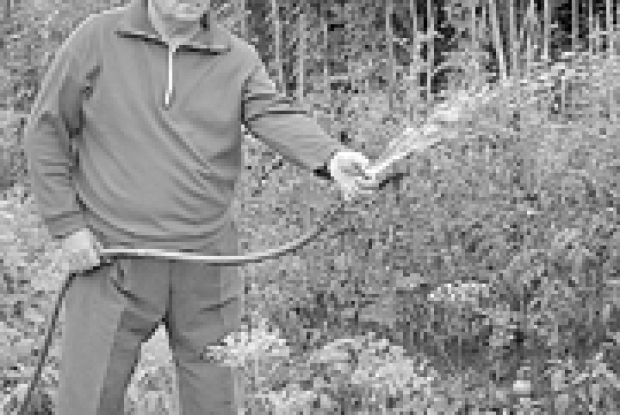 ПОМІДОРИ — ДО ПЕРШИХ МОРОЗІВ