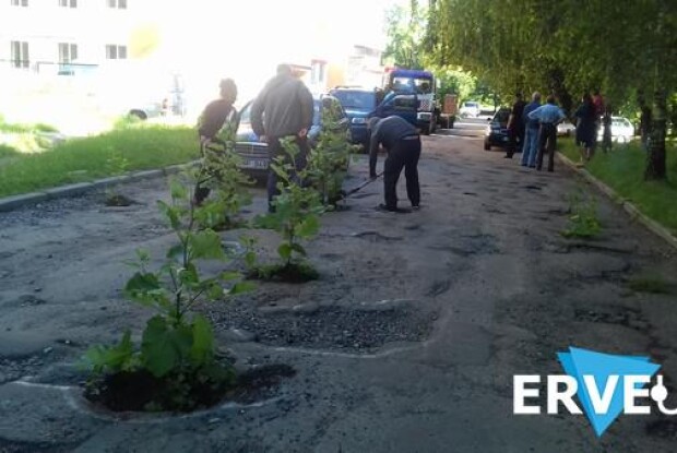 «Нема дороги – буде парк!»: рівняни засадили вибоїни деревами (фото)