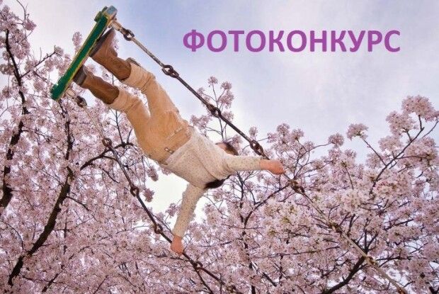 Фотоконкурс Вишнівської ОТГ: визначили найкращі фото цвітучої вишні 