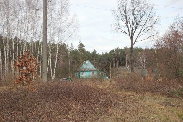 Хутірcька держава Кривці і досі дає собі раду