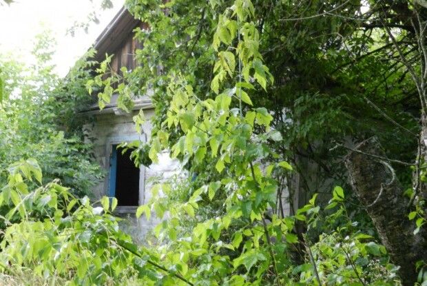У громаді на Волині взяли на облік кілька покинутих будинків: власники ще мають шанс зберегти майно