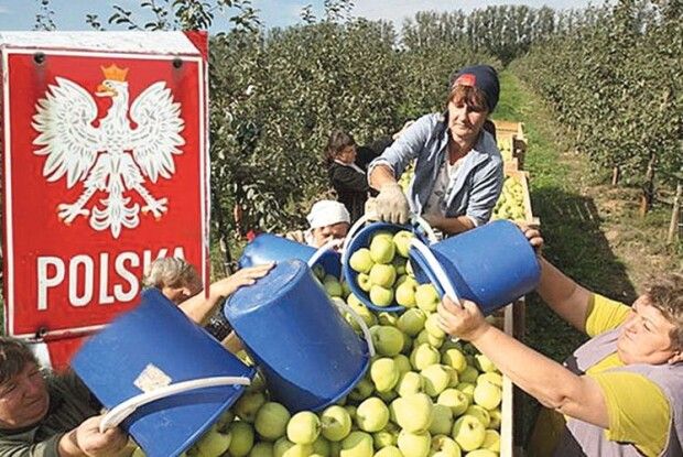 «Вона так оповідає, аби пан пожалів її та платив по 13 злотих за годину…»
