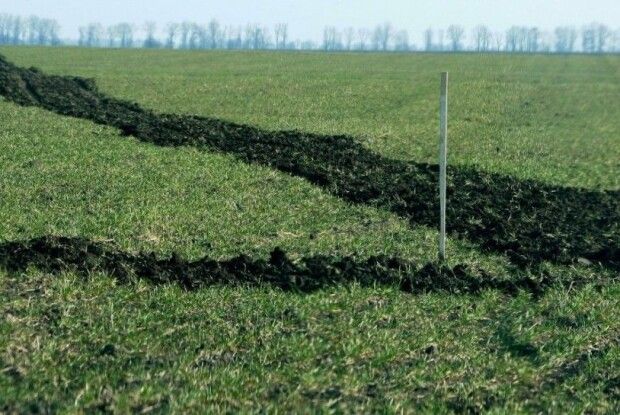 Конфлікт інтересів: на Волині в брата депутата забрали землю вартістю 800 тисяч 