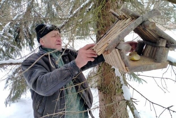 Віники з топінамбура для лісових велетнів: як на Волині рятують тварин від морозів
