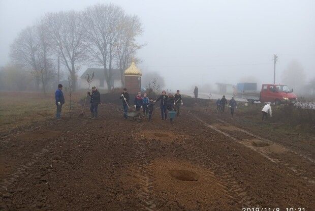 У селі на Горохівщині вандали викорчували молодий садок, який висадили небайдужі мешканці (Фото)