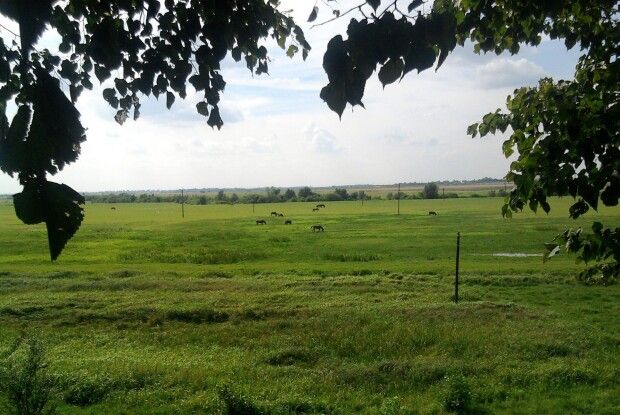 На чому господарюватимуть наші нащадки?