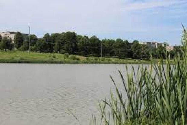 На Волині міське озеро облаштують більш, як на 20 мільйонів гривень