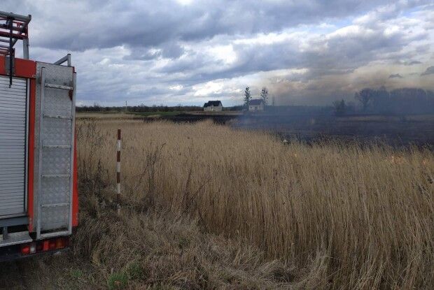 Лише за добу волинські рятувальники ліквідували 10 пожеж на відкритих територіях