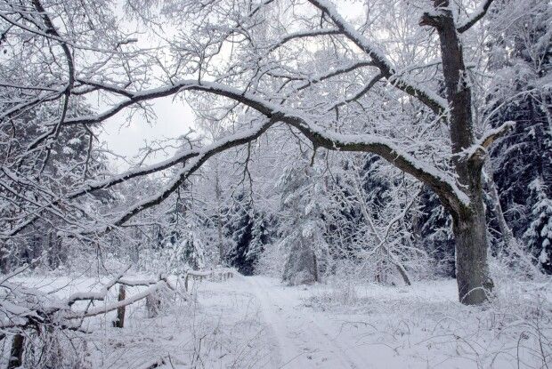 Якою буде погода на Волині в найближчі дні