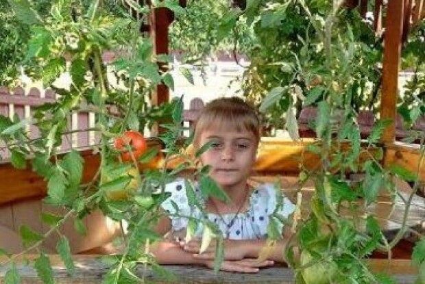 Волинянка вирощує помідори корінням догори