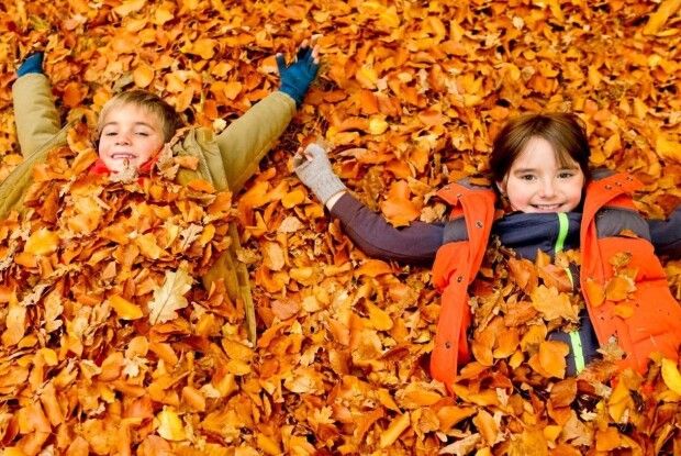 Чи продовжать у луцьких школах осінні канікули