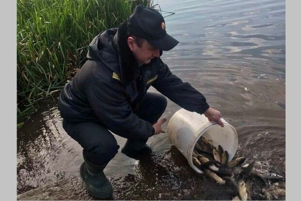 У ковельське водосховище випустили понад тонну риби