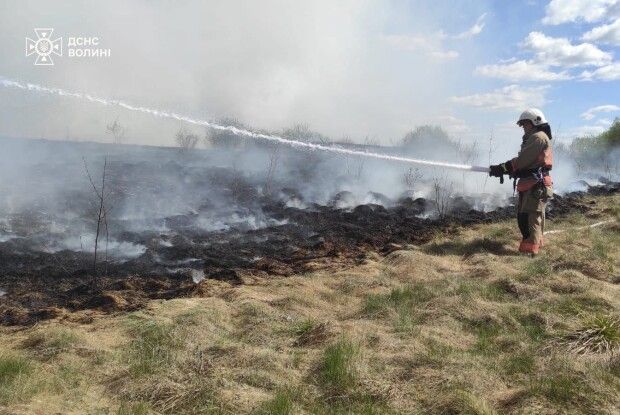 На Волині вогонь знищив 5 гектарів землі