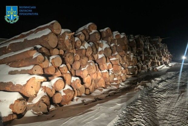 Арештована волинськими прокурорами деревина продана на електронних торгах за 1,2 мільйона гривень