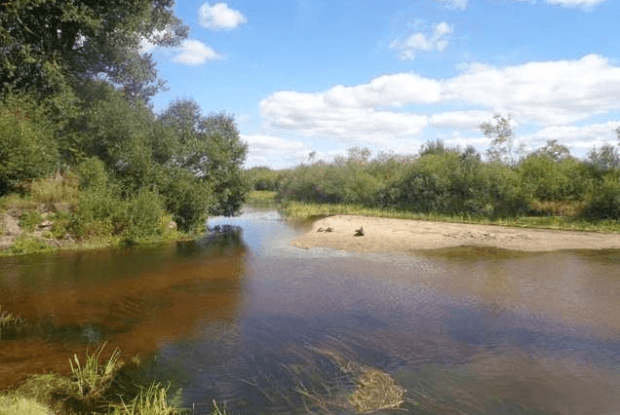 Травень, якого ще не було: синоптики фіксують холод і дефіцит води на Волині